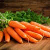 Морковь посевная фото